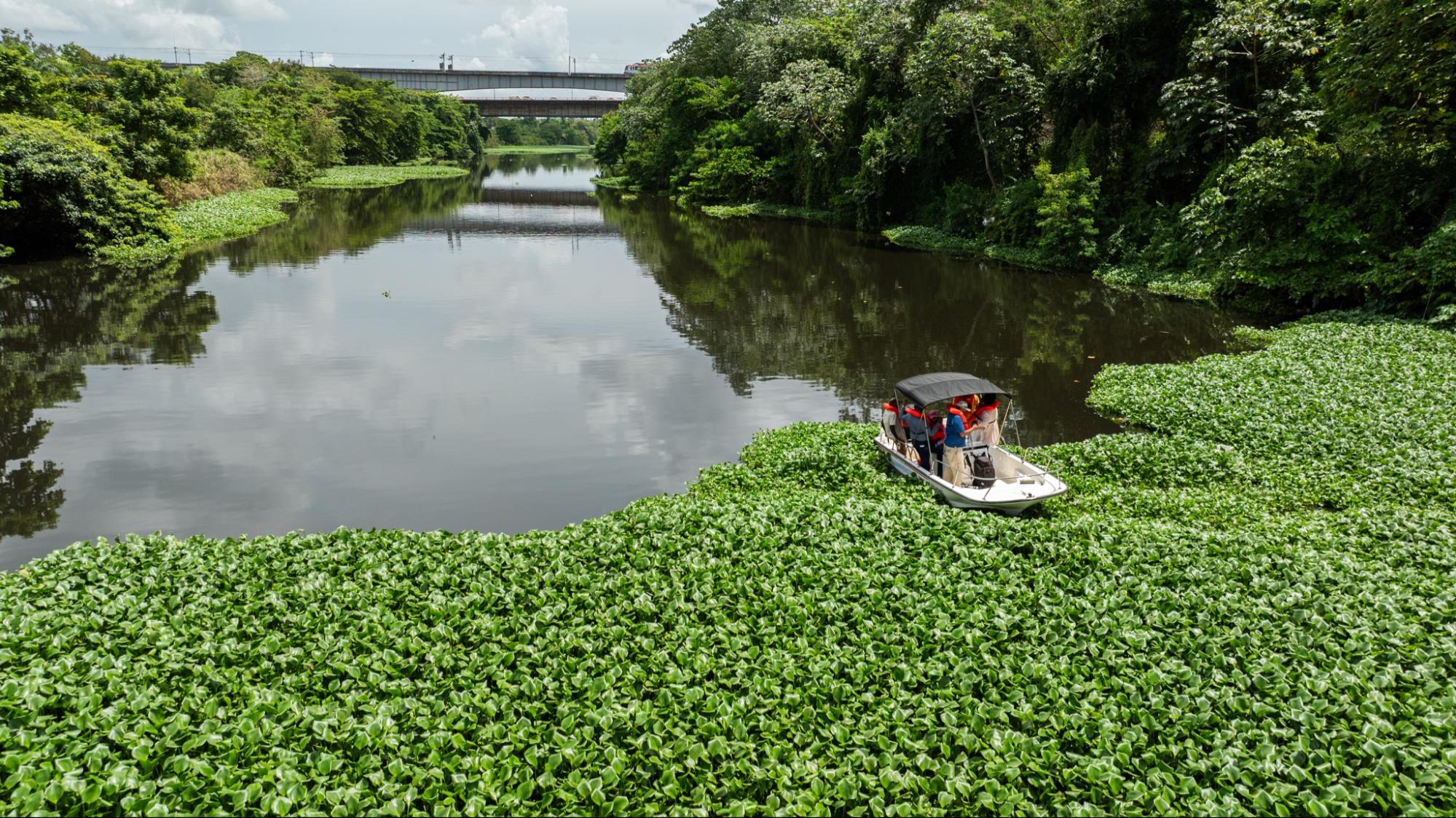 Río Isabela