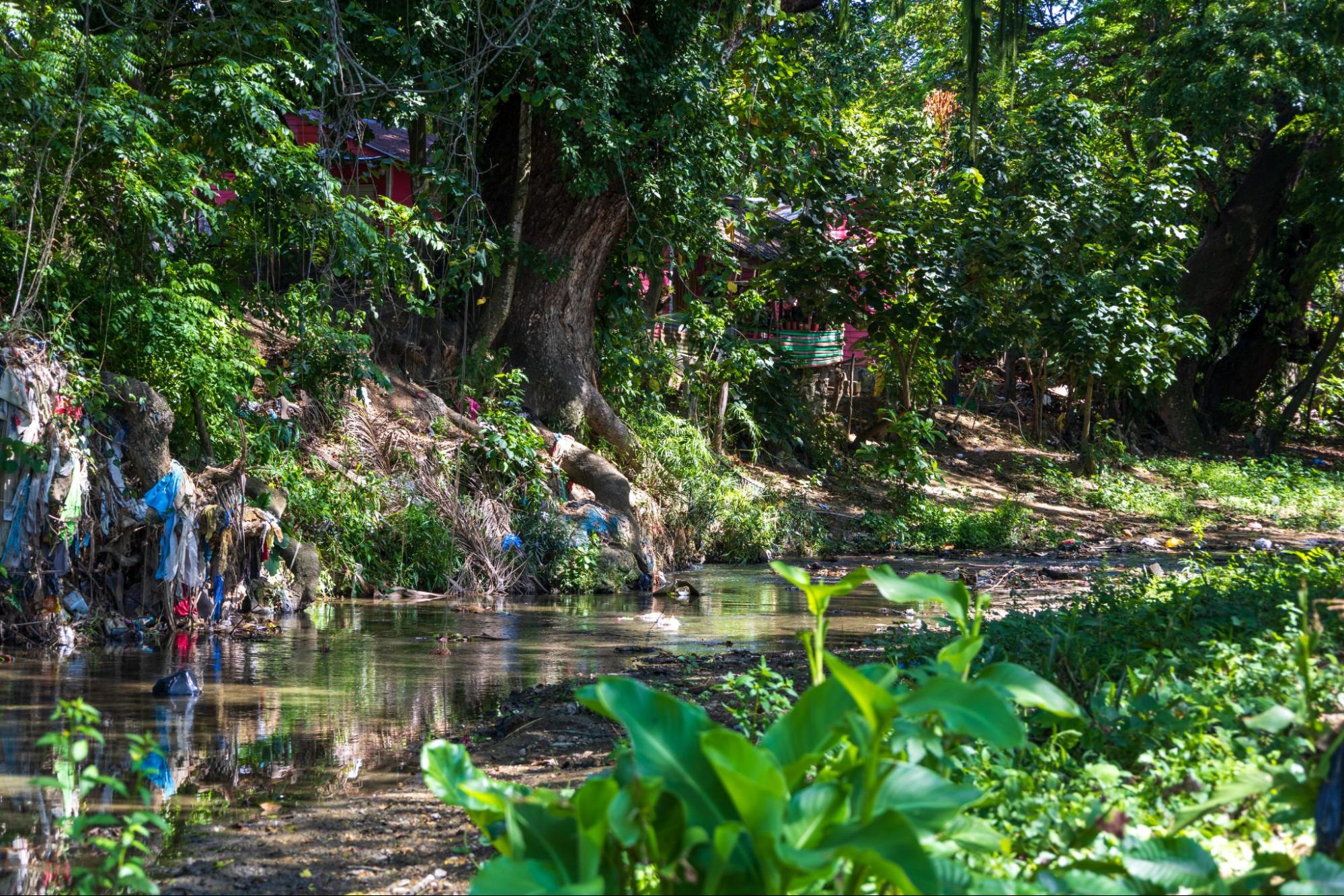 Río Jaya