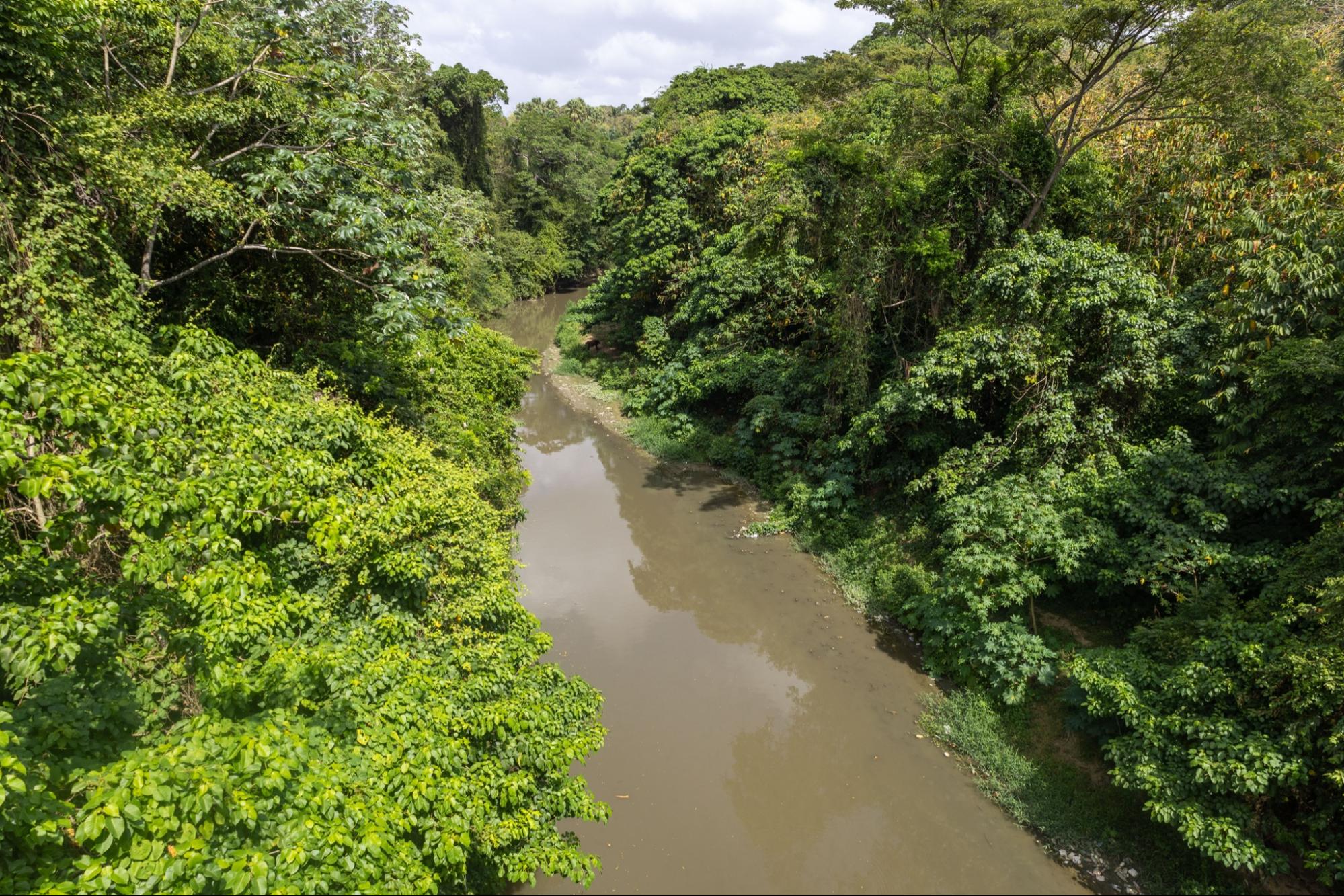 Río Licey